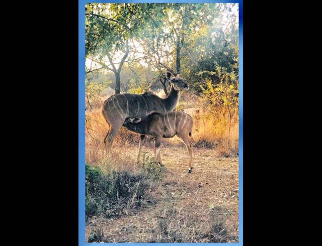 LAND FOR SALE IN SABLE HILLS